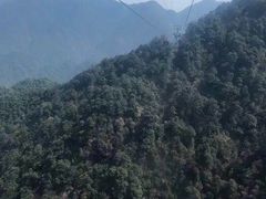 -三清山锦琛山庄