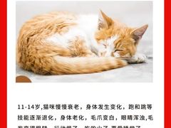 -爱妮康宠物医院·干细胞免疫细胞·肿瘤·心脏(张江店)