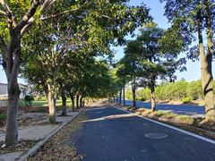 -厦门湾·白塘湾火山公园