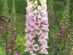 景点-陶然亭公园