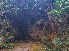 -水濂山森林公园