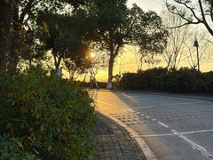 -南京市江宁方山