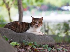 -苏州河梦清园环保主题公园