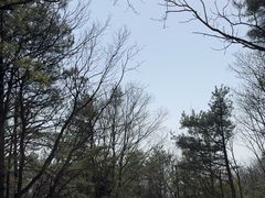 -剑门关风景区