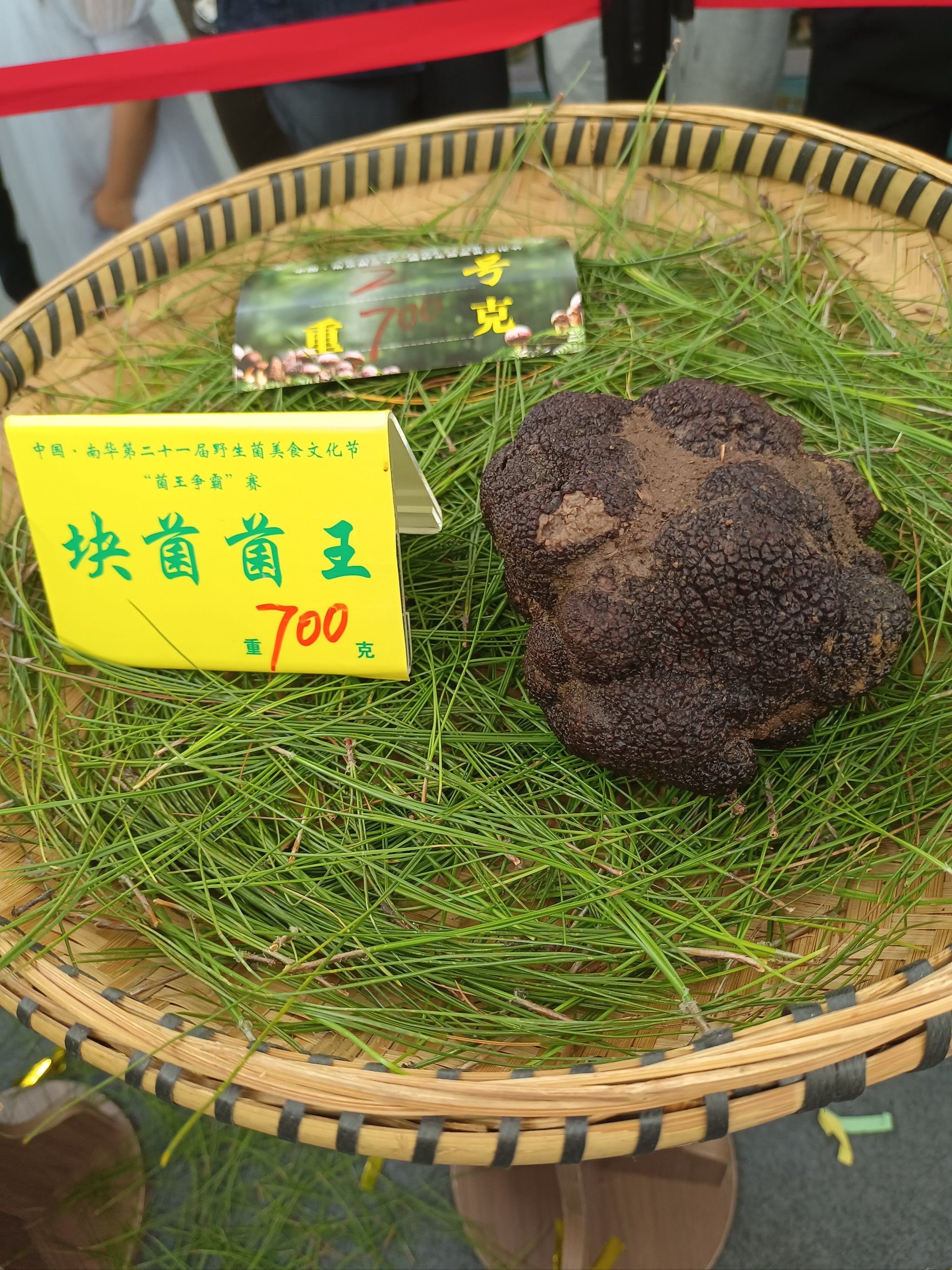 看看云南野生菌王,其实呀,每个地方都有自