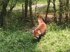 -广州动物园