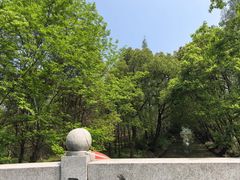 -同里国家湿地公园