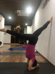 -兴亚瑜伽20年老馆