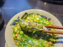 -石锅苗苗鱼(武汉首店)