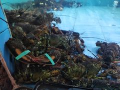 -渔人湾码头海鲜市场负二楼