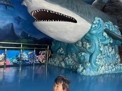 -多彩贵州城极地海洋世界