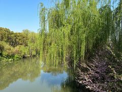 -同里国家湿地公园