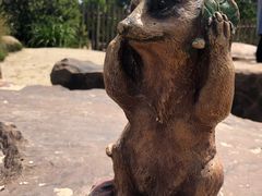 -威勒比开放式动物园