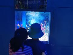 -白鹿仓冰雪海洋世界