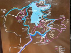 -深圳仙湖植物园