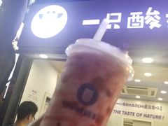 -一只酸奶牛(八一路店)