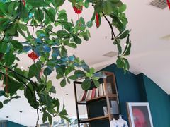 -悦海·家宴·冰花皮皮虾大锅贴(宝龙店)