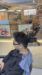 -M1山木造型国潮男士发型定制