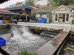-京北渔家傲