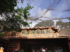 -燕塞湖鸟语林景区
