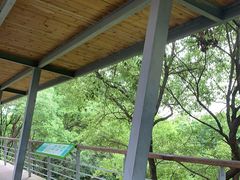 -西湖风景区-江洋畈生态公园