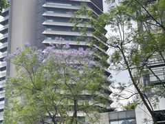 -四川大学博物馆