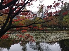 -北海道厅旧本厅舍(旧本庁舎)