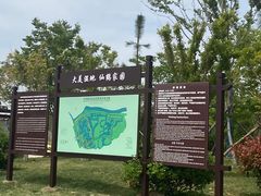 -盐城丹顶鹤湿地生态旅游区
