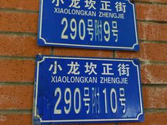 -大龙火锅(老店)