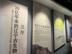 -辽宁古生物博物馆