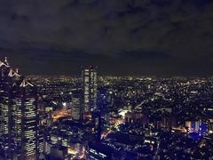 -东京都厅舍