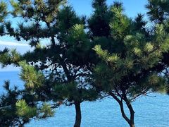 -青岛海滨风景区小青岛