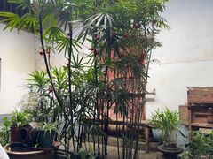 -董府·古宅餐厅