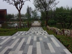-田园东方蜜桃村的田野营地