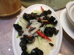 -绿野仙踪·印象(香樟名都店)