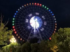 -特克斯八卦城