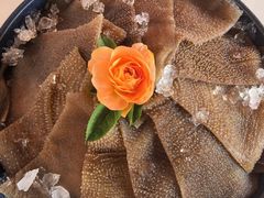 -小叫驴养生驴肉火锅(龙游店)