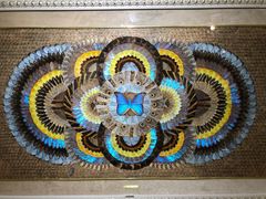 -上海昆虫博物馆