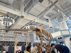 -FAIRYLAND龙族星球主题餐厅(凯丹广场店)