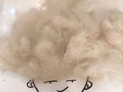 -喵五郎の猫咪酒店·专业洗护·寄养