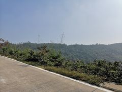 -东澳岛
