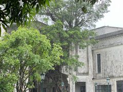 -赤坎·广东华侨国际旅游度假区