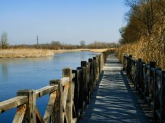 -野鸭湖国家湿地公园