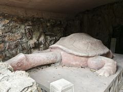 -上海佘山国家森林公园天马山园