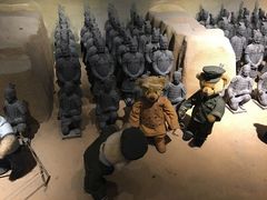 -成都泰迪熊博物馆