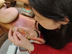 -吉丁鸟咖·异宠·寄养