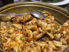 -港升鱼师傅·中山脆肉鲩