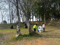 -盘龙城国家考古遗址公园