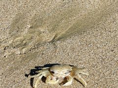 -西涌国际滨海旅游区
