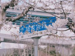 -南浦大桥长途旅游客运站